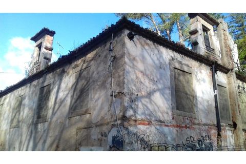 Landejendom i Sintra, Lisbon, Sintra - € 680.000 | Ref: JG634 - foto 3