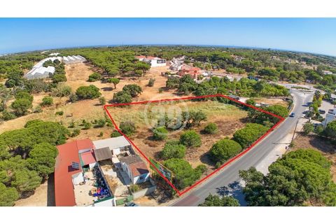 Helårsgrund i Almancil, Faro, Almancil - € 297.000 | Ref: TR-008 - foto 2