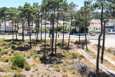 Terra a Almada, Setubal, Almada - € 1.100.000 | Ref: TER_1456 - foto 6