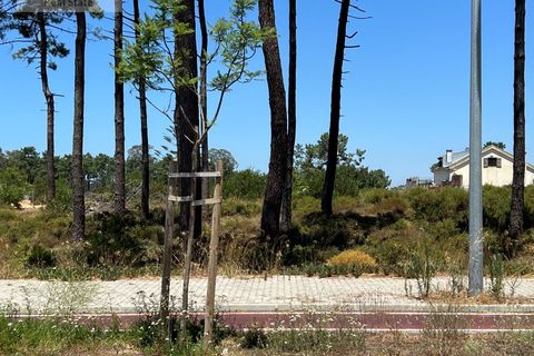 Terra a Almada, Setubal, Almada - € 1.100.000 | Ref: TER_1456 - foto 9
