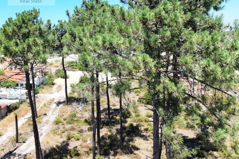 Terra a Almada, Setubal, Almada - € 1.100.000 | Ref: TER_1456 - foto 20