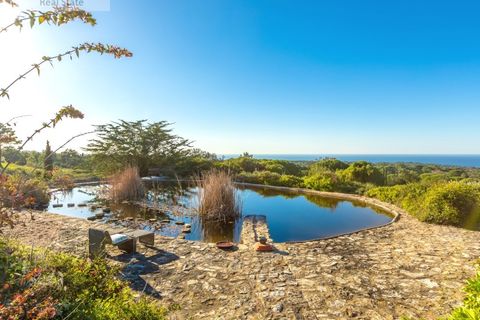 Villa i Sesimbra, Setubal, Sesimbra - € 3.920.000 | Ref: MOR_1453 - foto 11