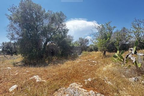 Helårsgrund i Carovigno, Brindisi, Carovigno - € 85.000 | Ref: ter7 land - foto 3