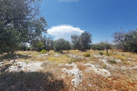 Helårsgrund i Carovigno, Brindisi, Carovigno - € 85.000 | Ref: ter7 land - foto 2