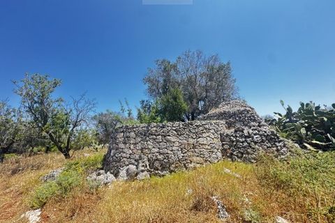 Helårsgrund i Carovigno, Brindisi, Carovigno - € 85.000 | Ref: ter7 land - foto 10