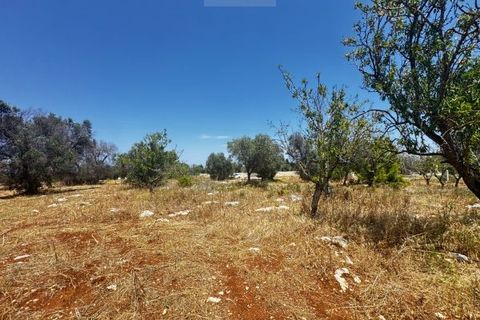 Helårsgrund i Carovigno, Brindisi, Carovigno - € 85.000 | Ref: ter7 land - foto 9
