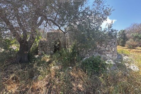 Helårsgrund i Carovigno, Brindisi, Carovigno - € 85.000 | Ref: ter7 land - foto 7