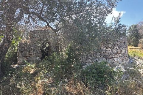Helårsgrund i Carovigno, Brindisi, Carovigno - € 85.000 | Ref: ter7 land - foto 6