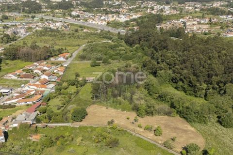 Tomt i Grijo, Porto, Grijo - € 90 000 | Ref: ZMPT577635 - foto 5
