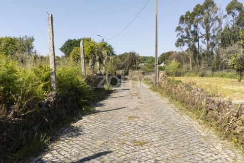 Tomt i Grijo, Porto, Grijo - € 90 000 | Ref: ZMPT577635 - foto 8