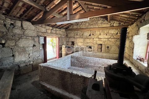 Farm i Santo Tirso, Porto, Santo Tirso - € 1.125.000 | Ref: ZMPT577213 - foto 11