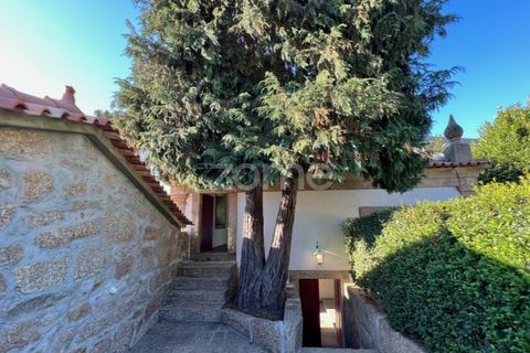 Farm i Santo Tirso, Porto, Santo Tirso - € 1.125.000 | Ref: ZMPT577213 - foto 12