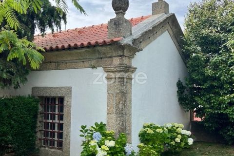 Farm i Santo Tirso, Porto, Santo Tirso - € 1.125.000 | Ref: ZMPT577213 - foto 13
