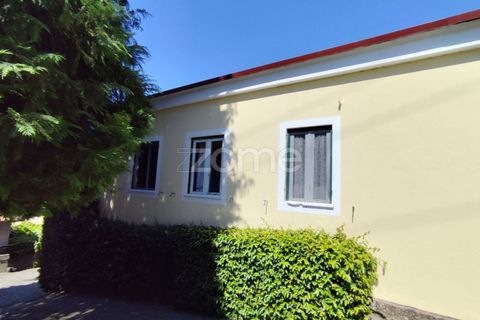 Farm i Santo Tirso, Porto, Santo Tirso - € 1.125.000 | Ref: ZMPT577213 - foto 50
