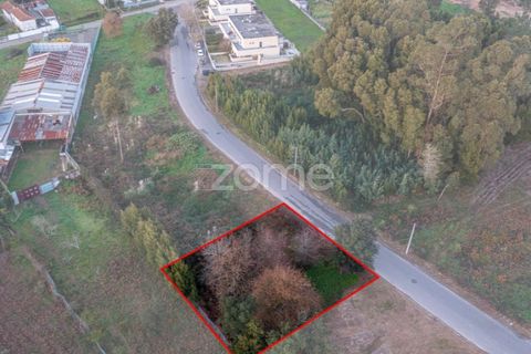 Tomt i Grijo, Porto, Grijo - € 97 000 | Ref: ZMPT584586 - foto 6