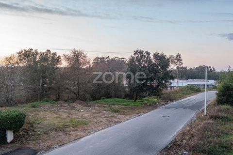 Tomt i Grijo, Porto, Grijo - € 97 000 | Ref: ZMPT584586 - foto 7