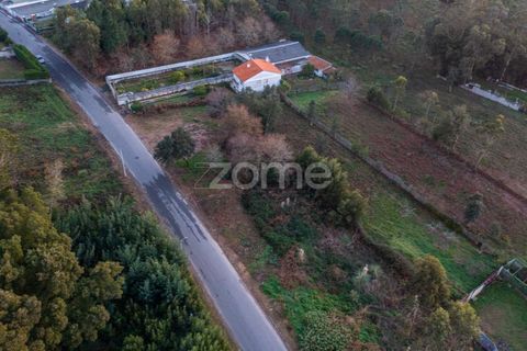 Tomt i Grijo, Porto, Grijo - € 97 000 | Ref: ZMPT584586 - foto 18