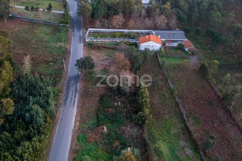 Tomt i Grijo, Porto, Grijo - € 97 000 | Ref: ZMPT584586 - foto 19
