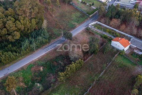 Tomt i Grijo, Porto, Grijo - € 97 000 | Ref: ZMPT584586 - foto 20