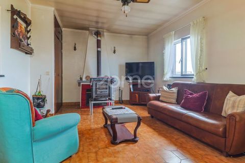 Villa a Riachos, Santarem, Riachos - € 300.000 | Ref: ZMPT583419 - foto 3