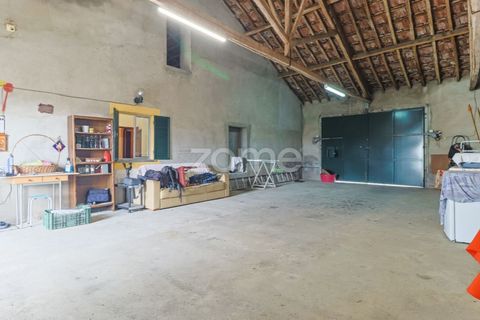 Villa a Riachos, Santarem, Riachos - € 300.000 | Ref: ZMPT583419 - foto 7
