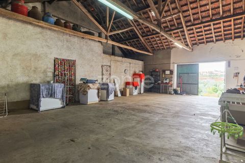 Villa a Riachos, Santarem, Riachos - € 300.000 | Ref: ZMPT583419 - foto 8