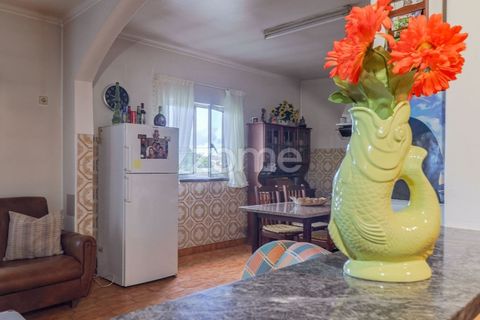 Villa a Riachos, Santarem, Riachos - € 300.000 | Ref: ZMPT583419 - foto 18