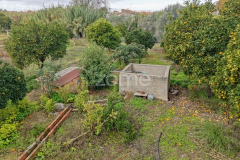 Villa a Riachos, Santarem, Riachos - € 300.000 | Ref: ZMPT583419 - foto 26