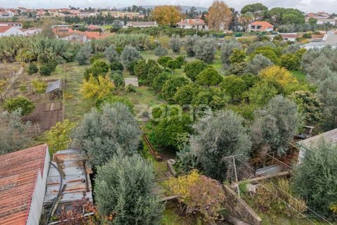 Villa a Riachos, Santarem, Riachos - € 300.000 | Ref: ZMPT583419 - foto 28