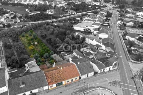Villa a Riachos, Santarem, Riachos - € 300.000 | Ref: ZMPT583419 - foto 31