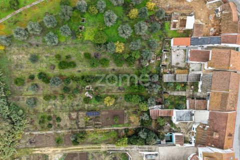 Villa a Riachos, Santarem, Riachos - € 300.000 | Ref: ZMPT583419 - foto 32