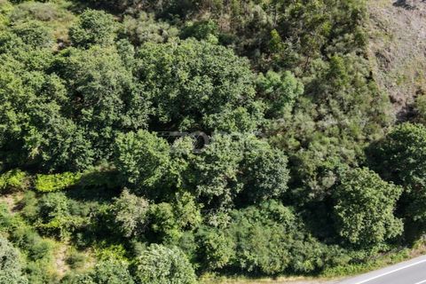Helårsgrund i Ponte da Barca, Viana do Castelo, Ponte da Barca - € 190.000 | Ref: ZMPT550674 - foto 1