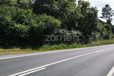 Helårsgrund i Ponte da Barca, Viana do Castelo, Ponte da Barca - € 190.000 | Ref: ZMPT550674 - foto 12