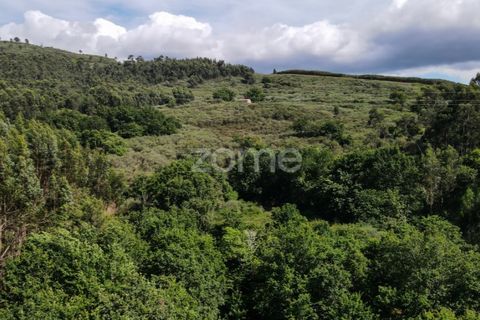 Helårsgrund i Ponte da Barca, Viana do Castelo, Ponte da Barca - € 190.000 | Ref: ZMPT550674 - foto 13