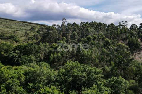 Helårsgrund i Ponte da Barca, Viana do Castelo, Ponte da Barca - € 190.000 | Ref: ZMPT550674 - foto 14