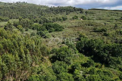 Helårsgrund i Ponte da Barca, Viana do Castelo, Ponte da Barca - € 190.000 | Ref: ZMPT550674 - foto 15
