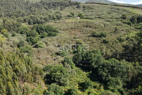 Helårsgrund i Ponte da Barca, Viana do Castelo, Ponte da Barca - € 190.000 | Ref: ZMPT550674 - foto 16