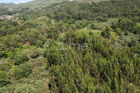 Helårsgrund i Ponte da Barca, Viana do Castelo, Ponte da Barca - € 190.000 | Ref: ZMPT550674 - foto 17