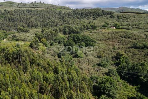 Helårsgrund i Ponte da Barca, Viana do Castelo, Ponte da Barca - € 190.000 | Ref: ZMPT550674 - foto 18