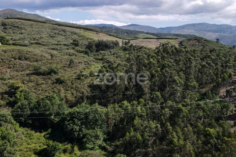 Helårsgrund i Ponte da Barca, Viana do Castelo, Ponte da Barca - € 190.000 | Ref: ZMPT550674 - foto 19
