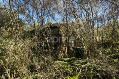 Helårsgrund i Ponte da Barca, Viana do Castelo, Ponte da Barca - € 190.000 | Ref: ZMPT550674 - foto 20