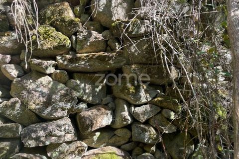 Helårsgrund i Ponte da Barca, Viana do Castelo, Ponte da Barca - € 190.000 | Ref: ZMPT550674 - foto 24