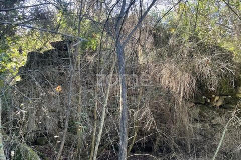 Helårsgrund i Ponte da Barca, Viana do Castelo, Ponte da Barca - € 190.000 | Ref: ZMPT550674 - foto 25