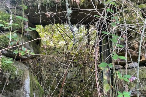 Helårsgrund i Ponte da Barca, Viana do Castelo, Ponte da Barca - € 190.000 | Ref: ZMPT550674 - foto 26