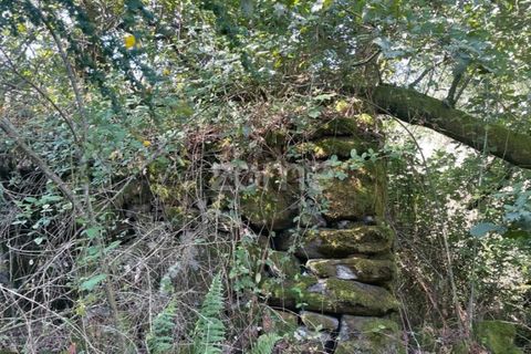 Helårsgrund i Ponte da Barca, Viana do Castelo, Ponte da Barca - € 190.000 | Ref: ZMPT550674 - foto 27