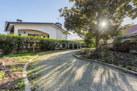 Villa i Quinta do Loureiro, Aveiro, Quinta do Loureiro - € 549.000 | Ref: ZMPT583250 - foto 3