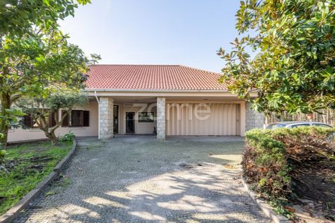 Villa i Quinta do Loureiro, Aveiro, Quinta do Loureiro - € 549.000 | Ref: ZMPT583250 - foto 39
