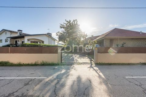 Villa i Quinta do Loureiro, Aveiro, Quinta do Loureiro - € 549.000 | Ref: ZMPT583250 - foto 40