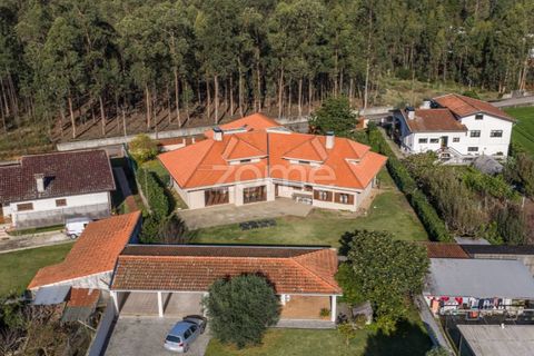 Villa i Quinta do Loureiro, Aveiro, Quinta do Loureiro - € 549.000 | Ref: ZMPT583250 - foto 41