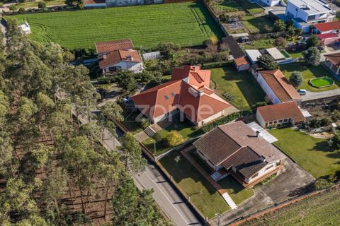 Villa i Quinta do Loureiro, Aveiro, Quinta do Loureiro - € 549.000 | Ref: ZMPT583250 - foto 42